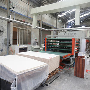 Kapok פנל עץ core 18mm מתמודד דיקט עבור מלתחה - Product Image 6