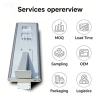 Lámpara Solar LED para Calle Chino WS-30W de 30W, DC, IP65 Impermeable, de Aluminio, con Sensor de Movimiento, Control por Aplicación/Remoto, para Carreteras, con Batería