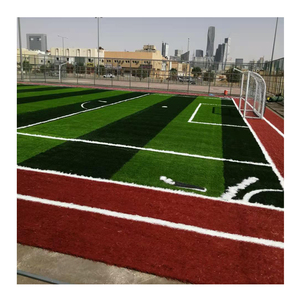 Cỏ Đá Cancha Nhựa Nhân Tạo Sân Cỏ Nhân Tạo Đá Banh - Product Image 6