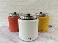Marmite Chauffe-Soupe Électrique Commerciale 10L 13L en Acier Inoxydable à Chaleur Sèche avec Couvercle et Extérieur Émaillé Coloré
