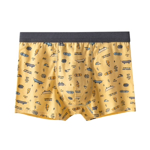 Boxer en coton doux élastique respirant pour garçons à la mode sous-vêtements personnalisés pour adolescents de 8 à 18 ans 4 couleurs toutes saisons - Product Image 6