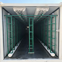 Conteneur de culture de légumes à feuilles en acier modulaire de grande taille, système de culture hydroponique intelligent DWC multi-espaces