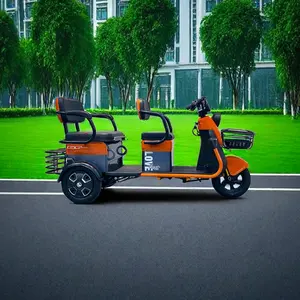 Wholesale Customized 600 Watts Electric Tricycle For Adults Open Electric Cargo Ebike With 3 Wheels 48v 800w Power Passengers