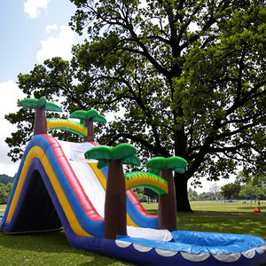 Toboggan gonflable extérieur d'arbre de <span class=keywords><strong>CoCo</strong></span> avec la petite piscine et le système de jet pour le matériel de PVC d'utilisation de jardin et de parc à la maison - Product Image 2