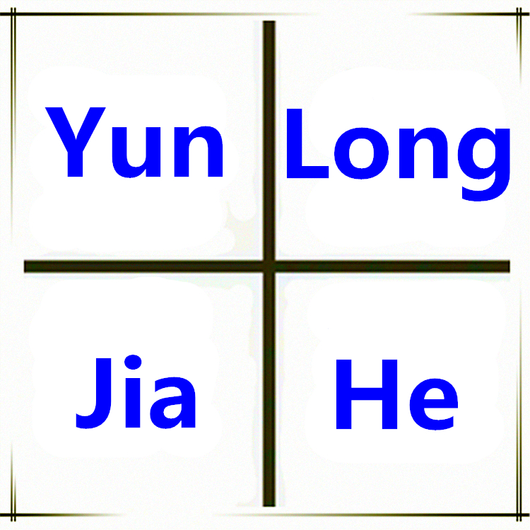 Beijing Yunlong Jiahe Trading Co., Ltd. logo