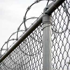 Clôture en treillis galvanisé 60MM*60MM et clôture en treillis revêtue de PVC - Product Image 1