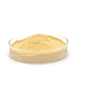 manufacturers supply price Soybean food grade e322 soy lecithin powder