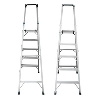 Échelle pliante en aluminium avec plateau supérieur pour outils, 5 marches antidérapantes, échelle en aluminium en forme de A pour usage domestique et industriel