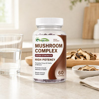Gummies Complexe Champignon Direct Usine, Complément Herbal, 60 Unités, OEM ODM, Marque Privée, Vente en Gros en Vrac