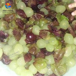 Industriële Stoom Druivenschilmachine Elektrische Stoom Druivenschiller Machine Automatische Druivenschiller Met Transportband - Product Image 3