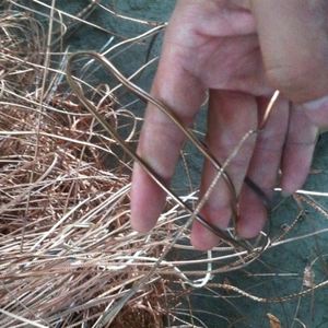 High Grade Copper <b>Wire</b> Scrap ASTM Standard 99.9% Purity for <b>Electrical</b> Applications with Cutting Welding Services Custom Sizes - Product Image 2