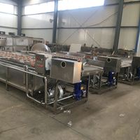 Waschmaschine für Tomaten mit Luftblasen-Technologie, 4m Haushaltsreinigungsgerät, Obst- und Gemüsewaschmaschine