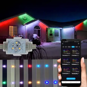 Permanent Christmas Light Outdoor Waterproof IP68 Led Point Lights Permanent Outdoor Lights