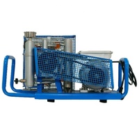 Compresseur d'air portable OEM, 300 bars, pour plongée sous-marine, usine chinoise