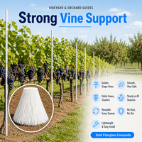 Tiges Solides en Fibre de Verre Flexibles et Durables, Piquets de Soutien en PRV/GRP pour Plantes, Poteaux de Croissance pour Légumes et Fleurs, Bâtons d'Agriculture pour Serres