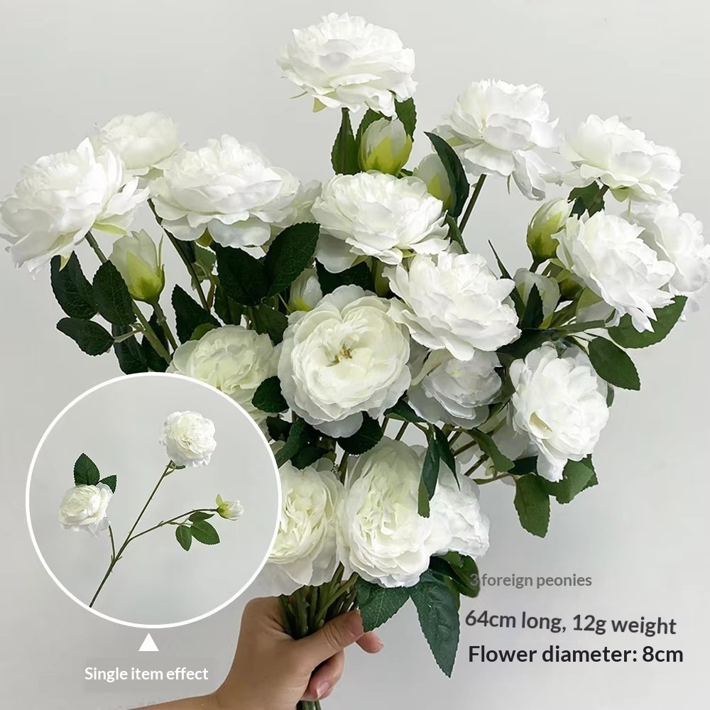 3 pivoines