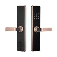 Serrure de porte intelligente TAICHEN avec poignée, empreinte digitale, mot de passe, carte, avec TTlock BluQ6, numérique, Tuya Wifi
