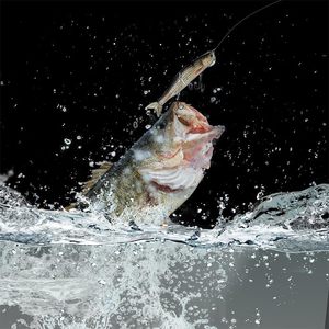 Juego de Señuelos Artificiales Realistas con Spinnerbaits con Peso de Plomo y Señuelos Blandos - Material ABS - Venta al por Mayor - Product Image 5