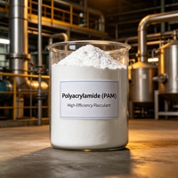 Poliacrilamida Maoxing CPAM APAM de China, Químico de Alto Peso Molecular y Alta Densidad de Carga, Grado Industrial, 25 kg para Retención