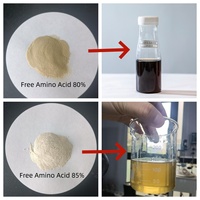 ShiHong Poudre d'acides aminés composés à 80% de teneur élevée, matière première d'engrais organique pour l'agriculture biologique |   Sans chlore |