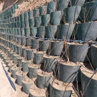 Géocell en HDPE alvéolaire pour allées, murs de soutènement et renforcement de fond de route, grille de gazon, hauteur 50mm-150mm, distance de soudure 500mm