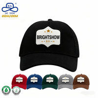 Casquette Trucker 5 Panneaux en Coton Biologique Certifiée ISO9001 GRS, Fabrication OEM, avec Patchs Brodés Personnalisés en Tissu pour Usage Quotidien Urbain