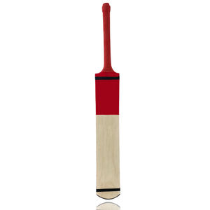 Batte de cricket personnalisée de marque, vente en gros directe d'usine, durable, couleur et logo personnalisables, haute qualité, batte d'entraînement - Product Image 1