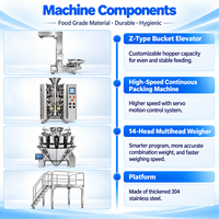 Machine d'emballage verticale entièrement automatique pour les chips, les aliments soufflés, les noix et les fruits secs