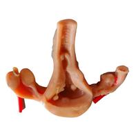 Módulo de Entrenamiento Laparoscópico Ginecológico para Práctica de Corte, Desprendimiento y Sutura en Silicona para Educación Biológica