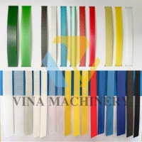 Ligne de Production d'extrudeuse de bande de cerclage en plastique PP PET