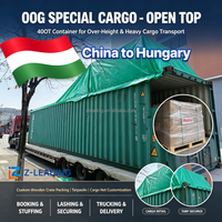 Agent de transport maritime de fret, FBA Hongrie Budapest Ferenc Liszt, transport de marchandises porte-à-porte par conteneur ouvert, DDP Flat Rack