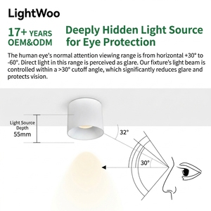 Luminaria Empotrada de Superficie COB de Alta Calidad, Módulo LED COB, Carcasa Moderna para Hogar, Oficina, <span class=keywords><strong>Hotel</strong></span>, Apartamento, Proyecto de Iluminación, 40W - Product Image 4