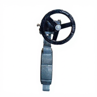 Vanne papillon marine type CS/BS/AS, joint NBR, disque en acier inoxydable 304, DN50-DN300 pour navires, avec garantie 1 an, pour l'eau