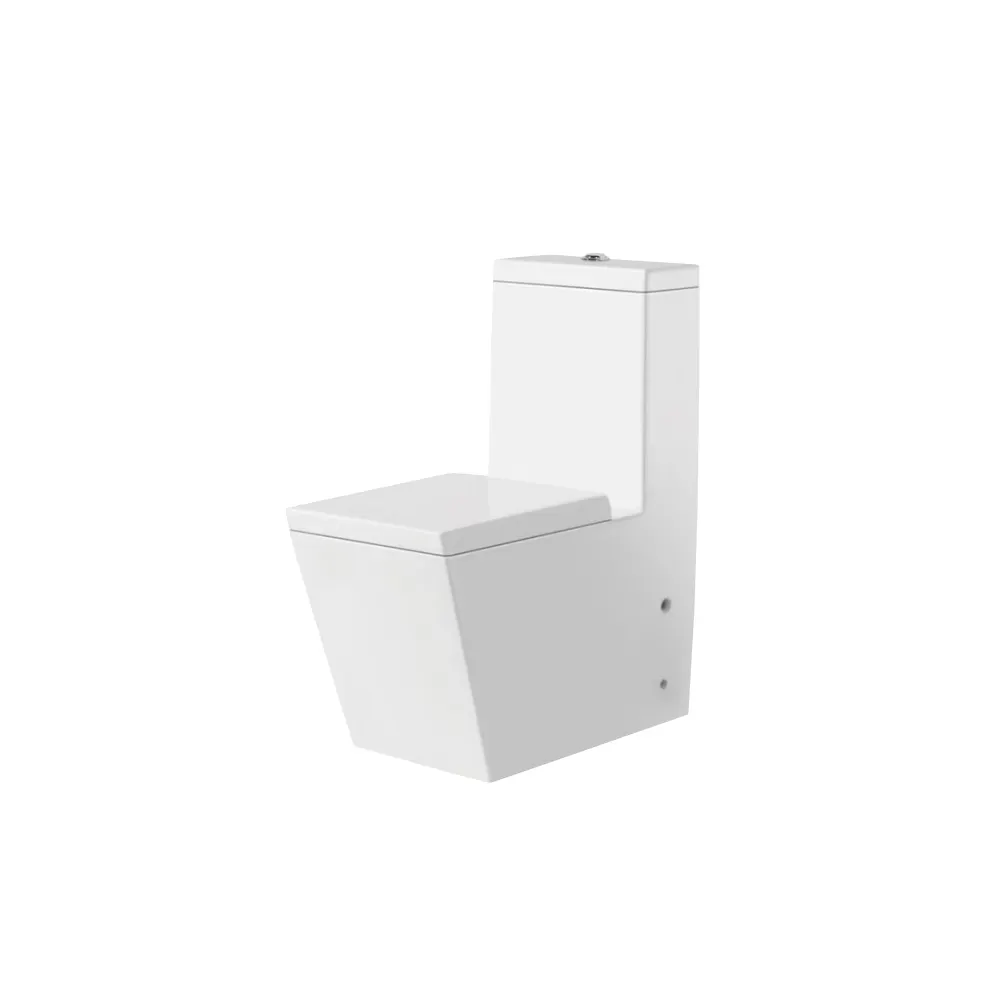 Luxurious Floor Stand Western Sitting Toilet P-Trap and S-trap WC Pedestal Water Closet