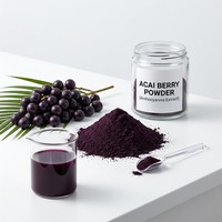Poudre de Myrtille de Qualité Alimentaire Fournie par l'Usine, Anthocyanine Sauvage, Poudre Fine Violet Foncé en Fût, Soluble Instantanément pour Smoothies