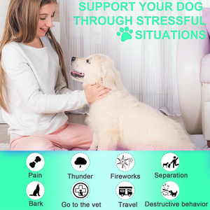 OEM Poulet Saveur Chien Calmant À Mâcher 120 Comptes Soulagement De L'anxiété Friandises Aide À Réduire Le Stress Promouvoir La Santé Des Animaux De Compagnie Complément De Soins - Product Image 2