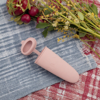 Moules à sucettes glacées en silicone Tubes réutilisables multicolores pour congélateur à glaçons DIY avec couvercle amovible écologique sans BPA