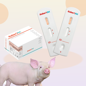 Produits vétérinaires Test rapide Test rapide d'anticorps contre le virus du Syndrome reproducteur et respiratoire porcin - Product Image 1