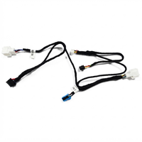 Faisceau de câbles automobile personnalisé en PVC pour Mercedes-Benz, câble d'extension d'alimentation pour tweeter rotatif 3D et éclairage d'ambiance LED, Plug&Play IP67