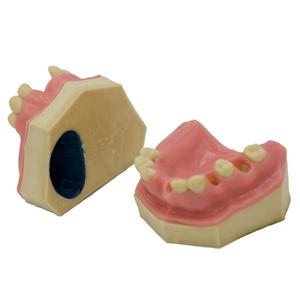Tandheelkundig model van kunststof voor oefening met tandheelkundige implantaten, training in tandheelkunde, mondheelkundig onderwijs, anatomisch model - Product Image 4