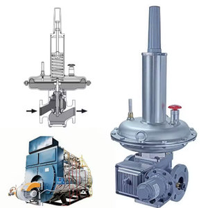 Meilleur régulateur auto-alimenté série LS200 pour gaz et contrôle stabilisé de la réduction de pression - Product Image 3