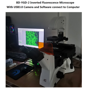 Boshida BD-YGD-2倒立蛍光顕微鏡生細胞培養および医学研究用の位相差顕微鏡 - Product Image 2