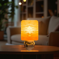 Lampe de Sel de Cristal de l'Himalaya avec Prise, Veilleuse Murale en Sel de Pierre, Certifiée ETL UKCA CE ROHS pour Chambre et Décoration Intérieure