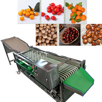 Elektrische multifunctionele fruit- en groente sorteer- en maalmotor, 304 roestvrij staal, capaciteit 2000 kg/uur, industrieel gebruik