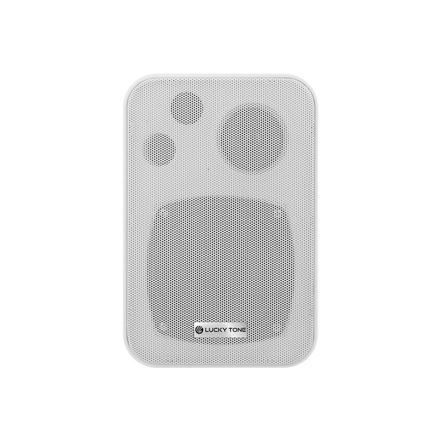 Lucky-Tone Powerful Metal Cabinet Speaker with 20W Output Compact Design and Quality Portable