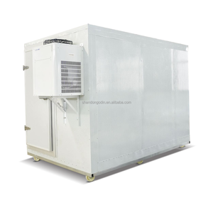 Conteneur frigorifique à bas prix, conception écologique, compresseurs Copeland/Daikin/TECUMSEH, 220V/380V, garantie 1 an, OEM - Product Image 2