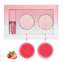 Vente en gros 3 pièces rose ensemble de soins des lèvres hydratant naturel dodu végétalien baume à lèvres huile gommage Kit minéral marque privée brillant à lèvres
