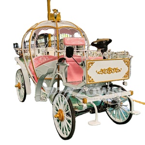 Individueller hochzeits-elektrische Sightseeing-Kutsche, spezieller Transportmittel für Sightseeing, direkt vom Hersteller - Product Image 1