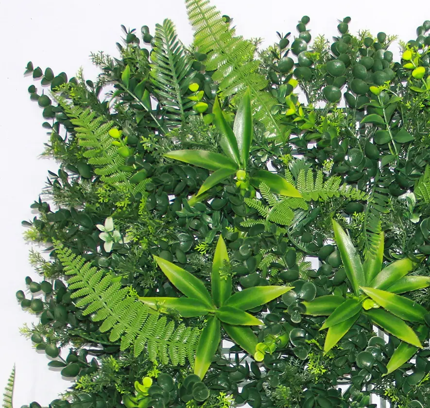 Panel hijau taman vertikal dengan backdrop tipe daun PE dan kaca bersertifikasi UV tanaman dinding buatan pagar kotak kayu