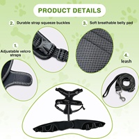 Attelle de genou pour chien, réglable, pour activités extérieures, avec sangle de soutien et protection de jambe pour la récupération